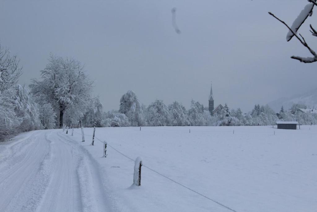 Haus Anna Louise - Niedernsill Lägenhet Exteriör bild